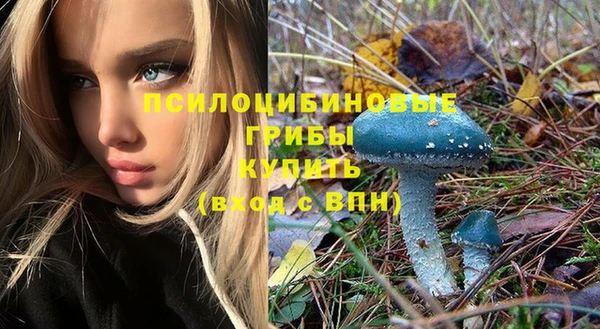 mdma Богданович