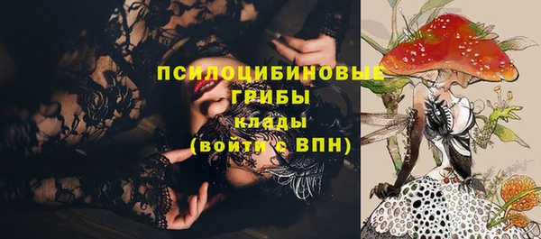 молекула духа Белокуриха