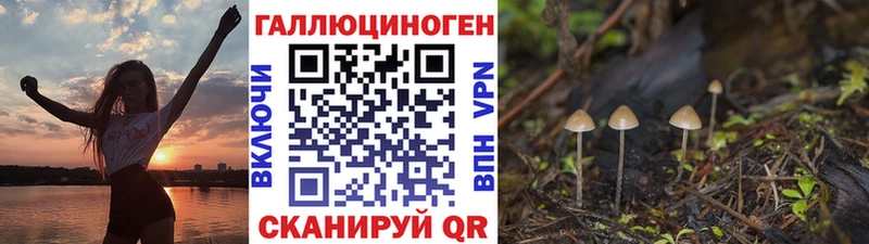 Галлюциногенные грибы мицелий Называевск